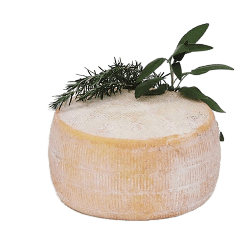 Sheep Cheese - Pecorino Del Alta Murgia Caseificio Coratino 2.3kg Approx