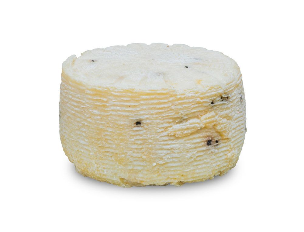 Caciotta de Oveja a la Pimienta Negra "Coratina" 1Kg Aprox
